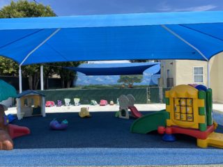 Large Clean Shaded Yard