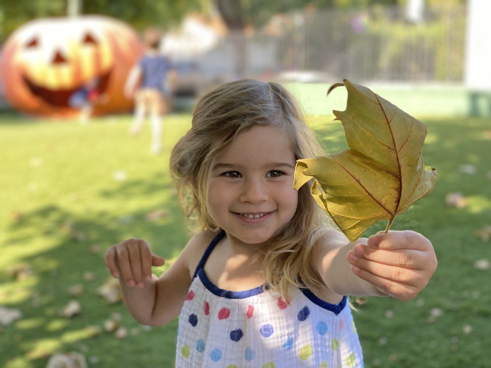 How to learn with leaves